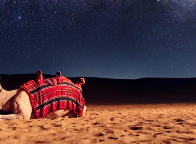 VIP Arabian Desert Deals and Affordable Packages
